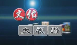 91大视野直播,全景视角下的精彩瞬间