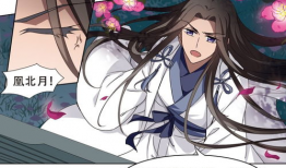 凤逆天漫画,逆天改命，凤舞九天